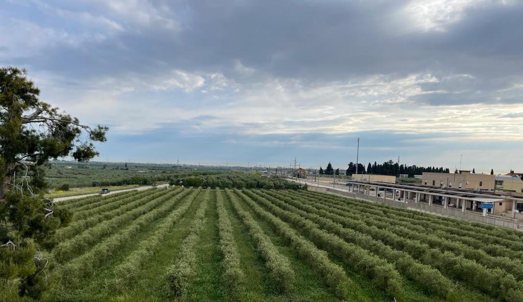 Villa Nascente Bitetto Dış mekan fotoğraf